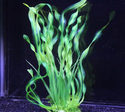 Decorarea acvariului - o plantă artificială