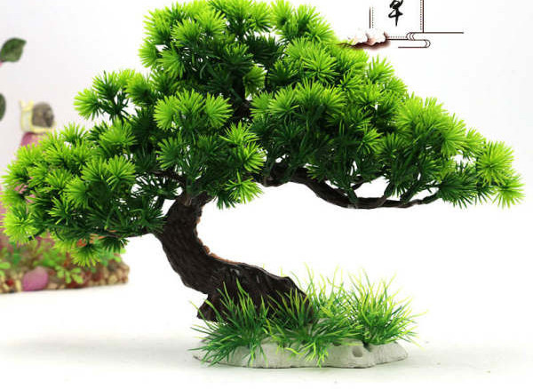 Decorarea copacului pentru acvariu