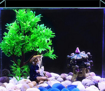 Akvaariumi kunstkaunistus