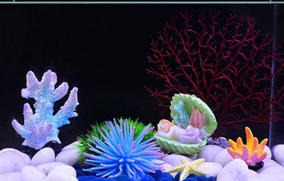 Akvaariumi kunstkaunistus