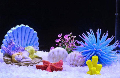 Akvaariumi kunstkaunistus