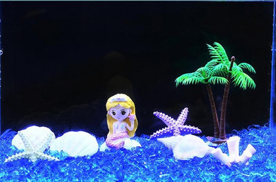 Akvaariumi kunstkaunistus