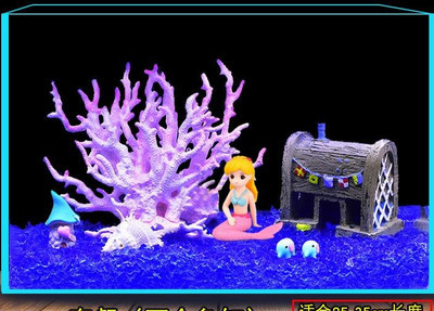 Akvaariumi kunstkaunistus