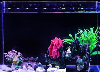 Akvaariumi kunstkaunistus