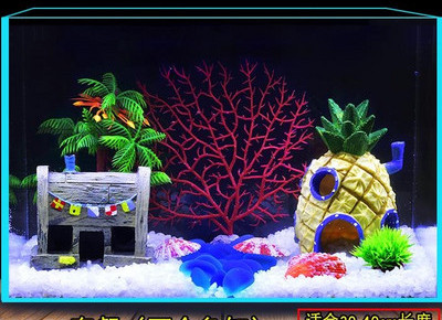 Akvaariumi kunstkaunistus