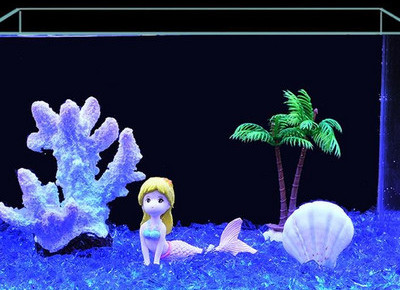 Akvaariumi kunstkaunistus