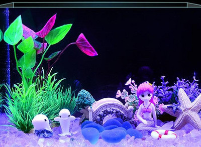 Akvaariumi kunstkaunistus