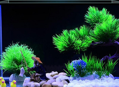 Akvaariumi kunstkaunistus