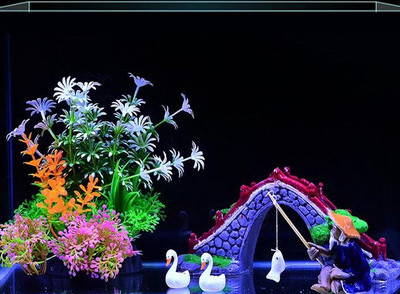 Akvaariumi kunstkaunistus