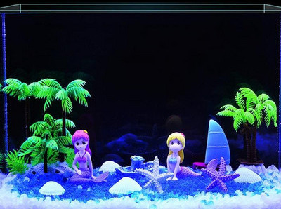 Akvaariumi kunstkaunistus