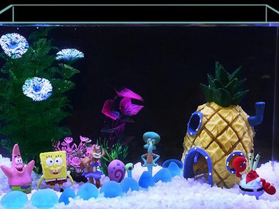 Akvaariumi kunstkaunistus