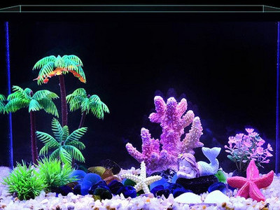 Akvaariumi kunstkaunistus