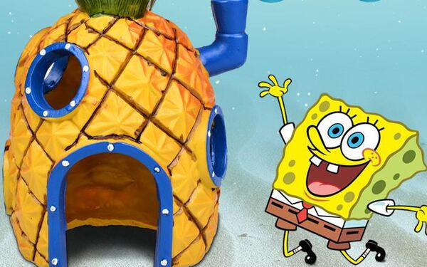 Akvaariumi kunstkaunistus