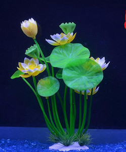 Akvaariumi dekoratiivsed lilled