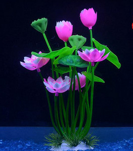 Akvaariumi dekoratiivsed lilled