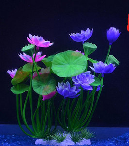 Akvaariumi dekoratiivsed lilled