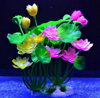 Διακοσμητικά λουλούδια για το ενυδρείο