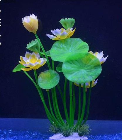 Akvaariumi dekoratiivsed lilled