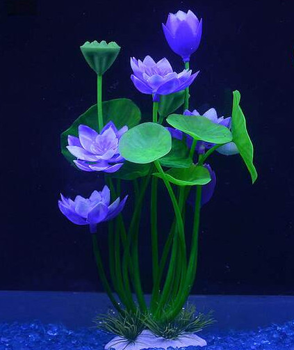 Akvaariumi dekoratiivsed lilled