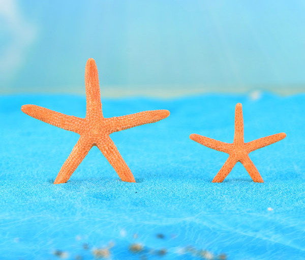 Διακόσμηση αστεριών για ενυδρείο