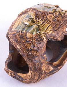 Decoratiuni acvariu diferite modele