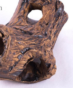 Decoratiuni acvariu diferite modele