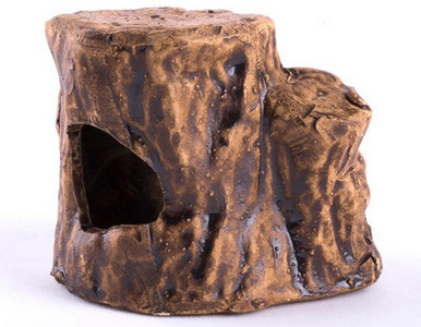 Decoratiuni acvariu diferite modele