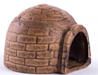 Decoratiuni acvariu diferite modele