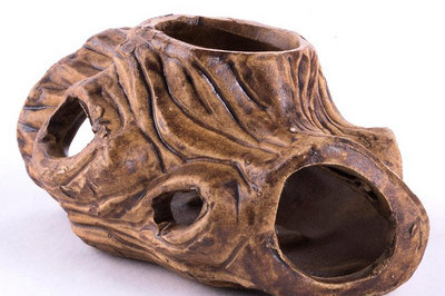 Decoratiuni acvariu diferite modele