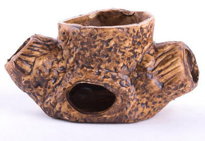 Decoratiuni acvariu diferite modele