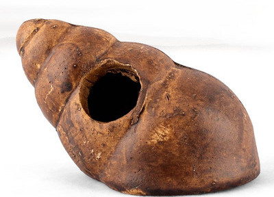 Decoratiuni acvariu diferite modele