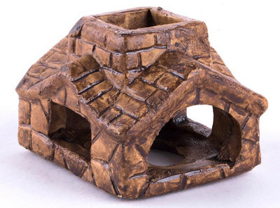 Decoratiuni acvariu diferite modele