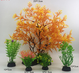 Taimed akvaariumi kaunistamiseks