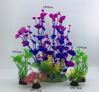 Taimed akvaariumi kaunistamiseks