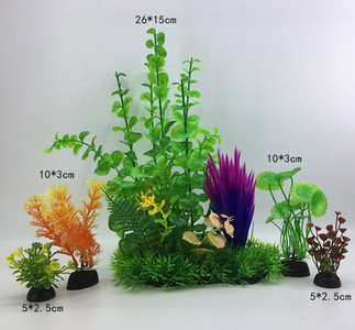 Taimed akvaariumi kaunistamiseks