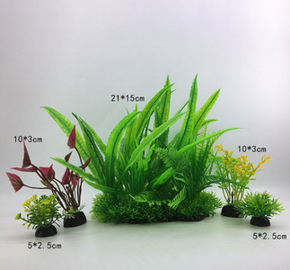 Taimed akvaariumi kaunistamiseks