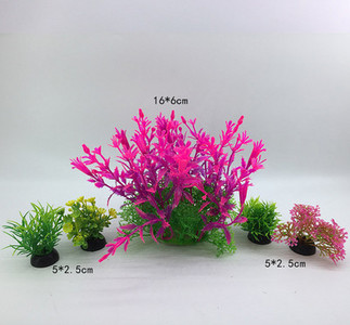 Taimed akvaariumi kaunistamiseks