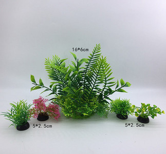 Taimed akvaariumi kaunistamiseks