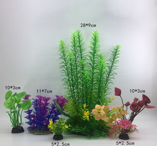 Taimed akvaariumi kaunistamiseks