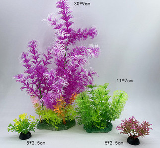 Taimed akvaariumi kaunistamiseks