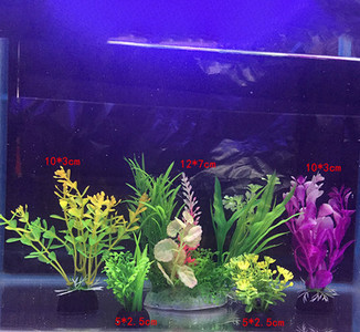 Taimed akvaariumi kaunistamiseks