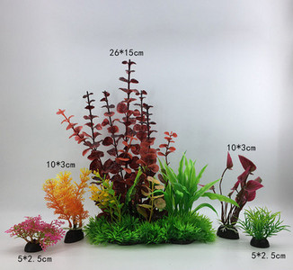 Taimed akvaariumi kaunistamiseks