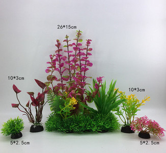 Taimed akvaariumi kaunistamiseks