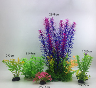 Taimed akvaariumi kaunistamiseks