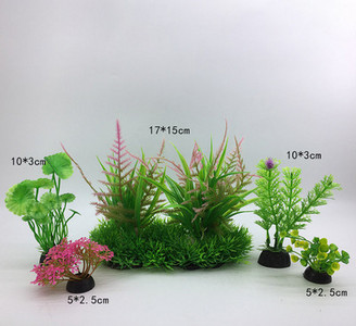 Taimed akvaariumi kaunistamiseks