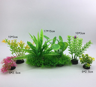 Taimed akvaariumi kaunistamiseks