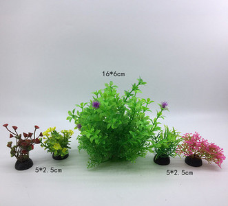 Taimed akvaariumi kaunistamiseks