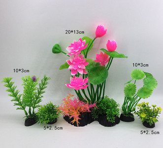 Taimed akvaariumi kaunistamiseks