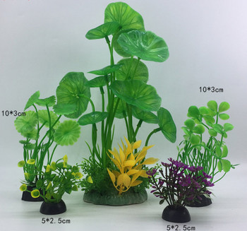 Φυτά για διακόσμηση ενυδρείου