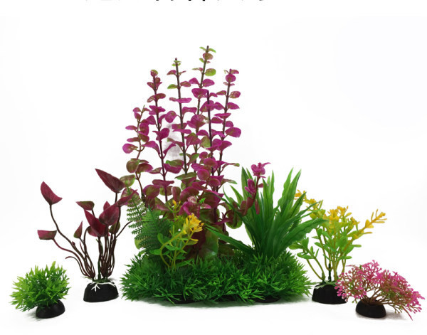 Taimed akvaariumi kaunistamiseks